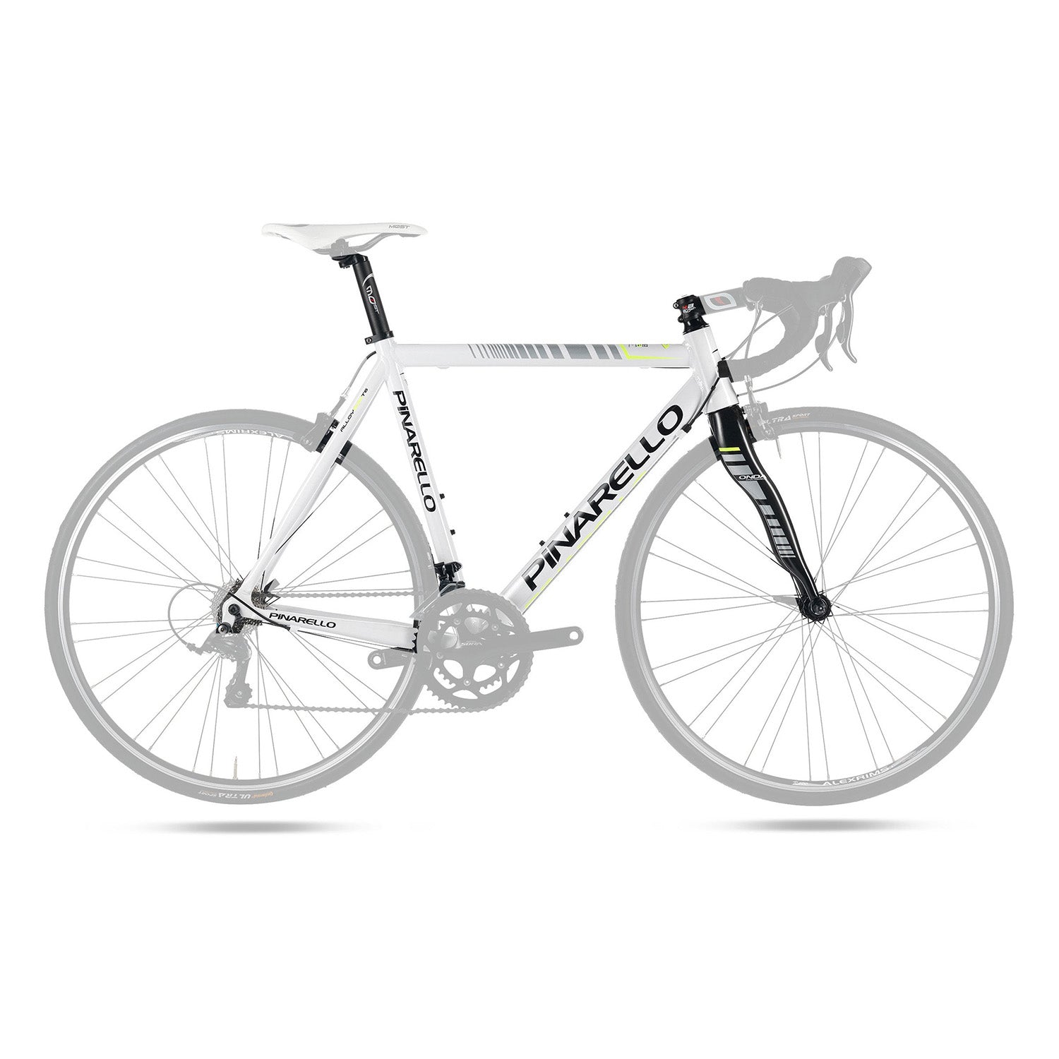 Pinarello Prima Frameset Gloss White – Open Road Cycles